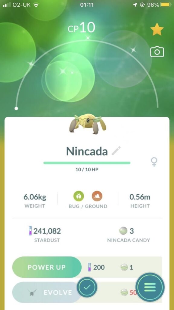 The first nincada I’ve ever caught and it’s shiny? What are the odds right