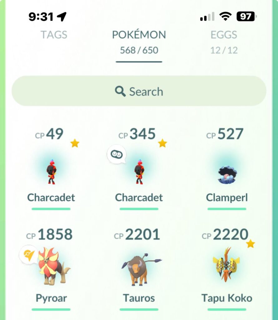 Charcadet 🔥 👻 buddy