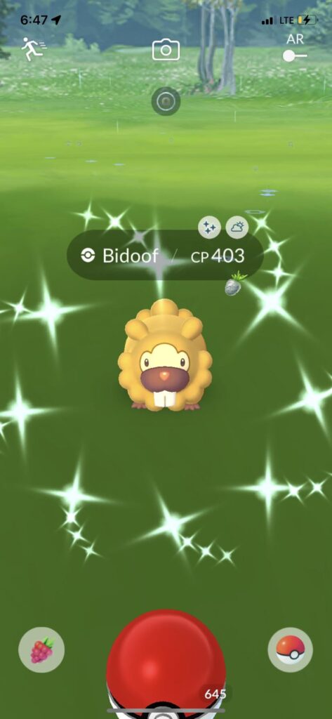 I have been chosen….