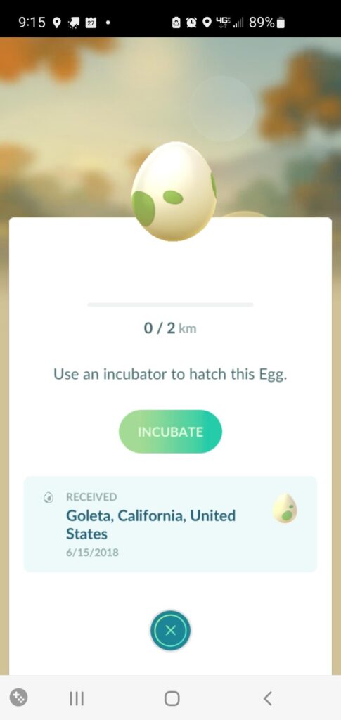 Does anyone else save eggs as a free souvenir of a trip?