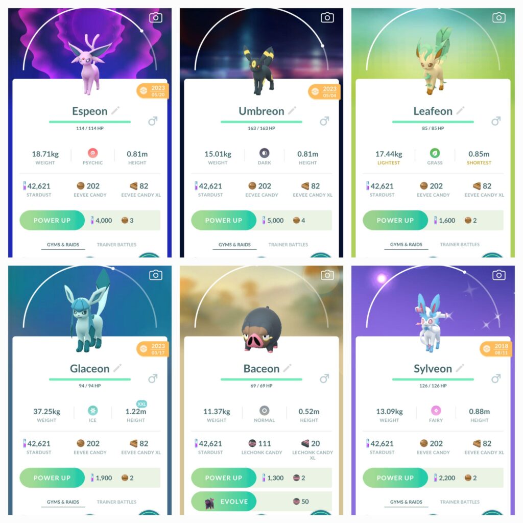 Are there any more Eeveelotions?