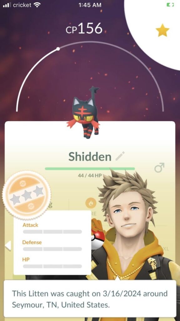 how my litten day went :3