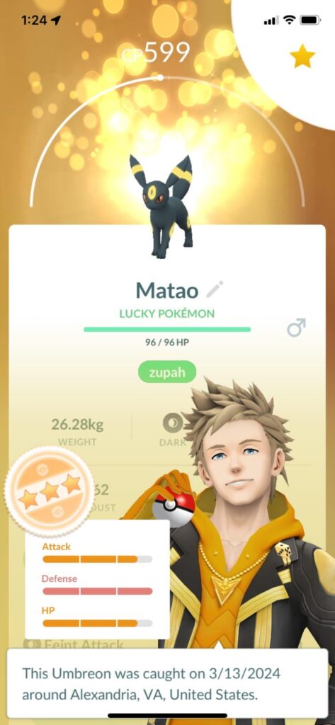 Thoughts On What I Should Do?