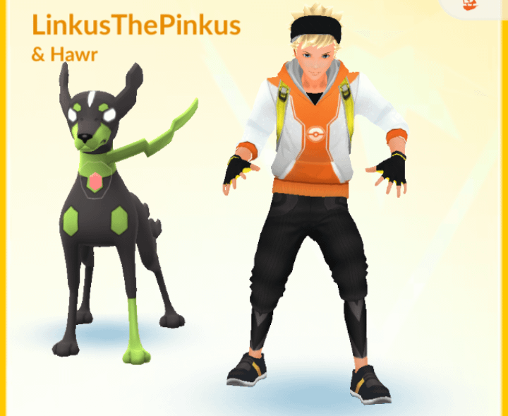 Bruh my magikarp hat. What happened?