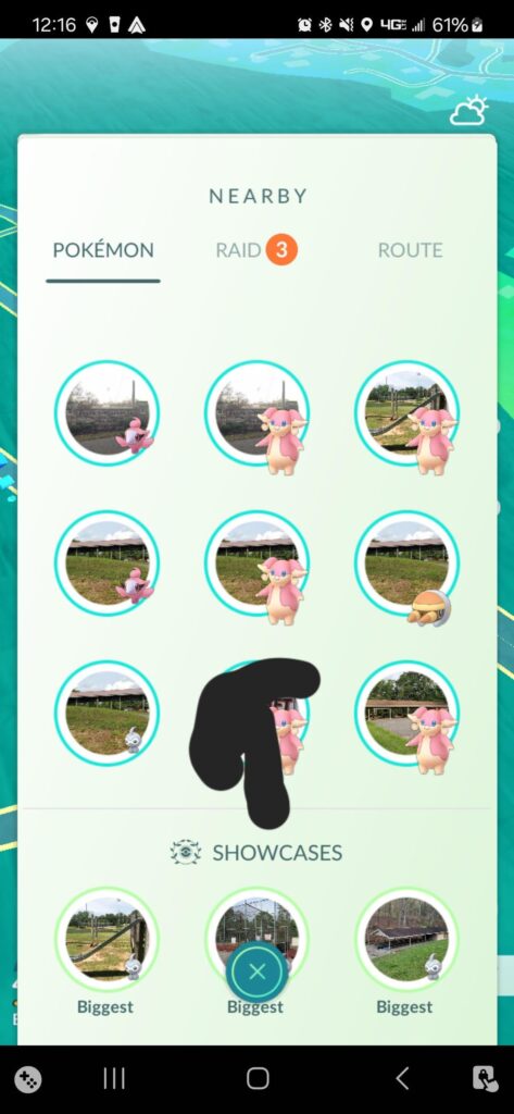 Can imagine a better nest than this beautiful beast?