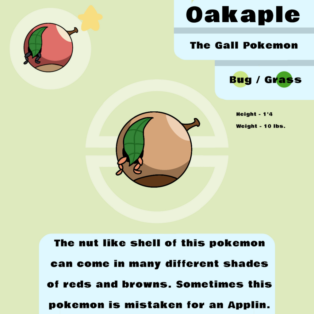 A gall wasp evolution line