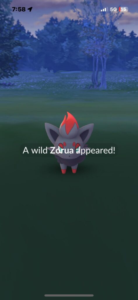 Zorua in the Wild?