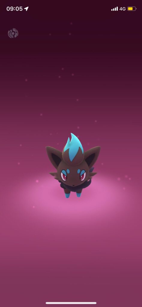 Just caught it 30 mins before my exam ! Is it sign of good luck ?