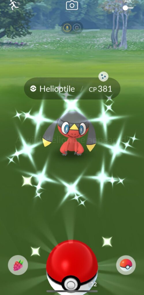 My shinnies from the event (I only played for 30 minutes)