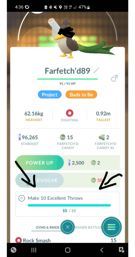 I made one excellent throw on a Zorua (masked as Farfetch'd) and it filled his quota