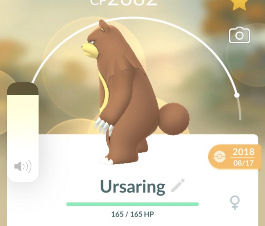 Ursaring’s tail