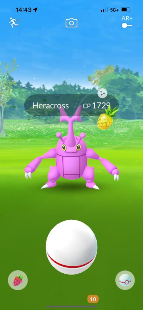 Only did two raids. How did I manage these odds?