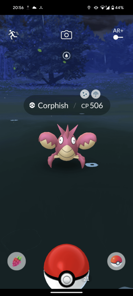 Quick business trip to Houston and came home with this Corphish!