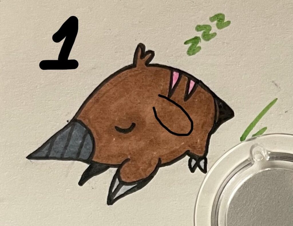 Ear or no ear?
