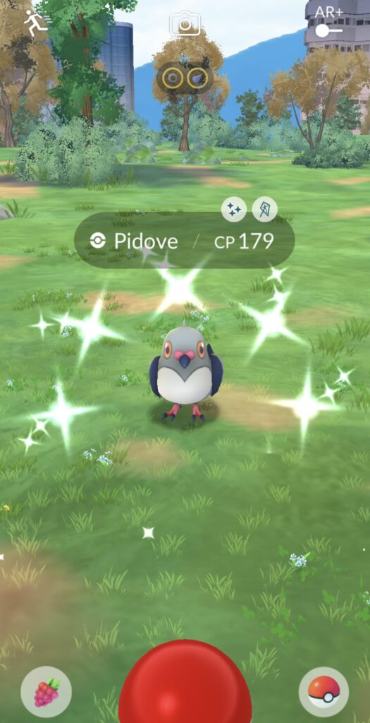 love getting a shiny i want!!!!! funny coloured pigeon :)