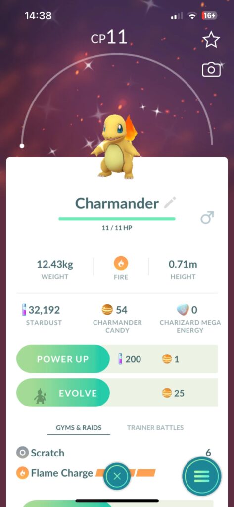 what should i do with this