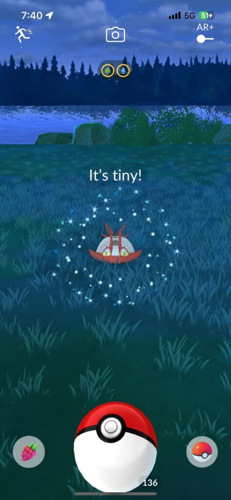 Tiny shiny!! I’m so happy!