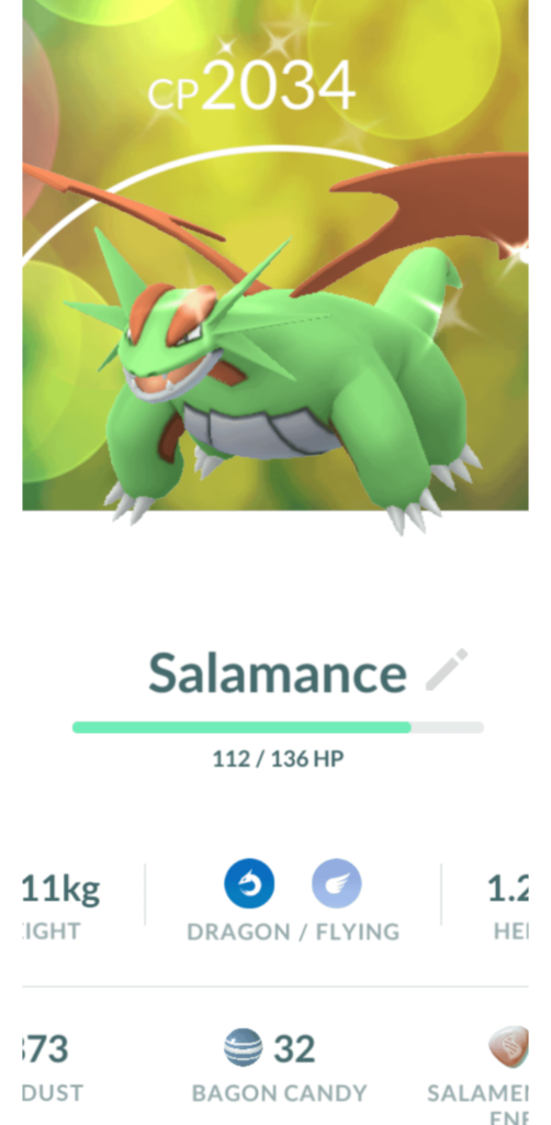 Is this a good shiny