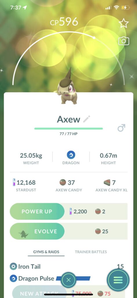 Cute lil shiny guy🥹