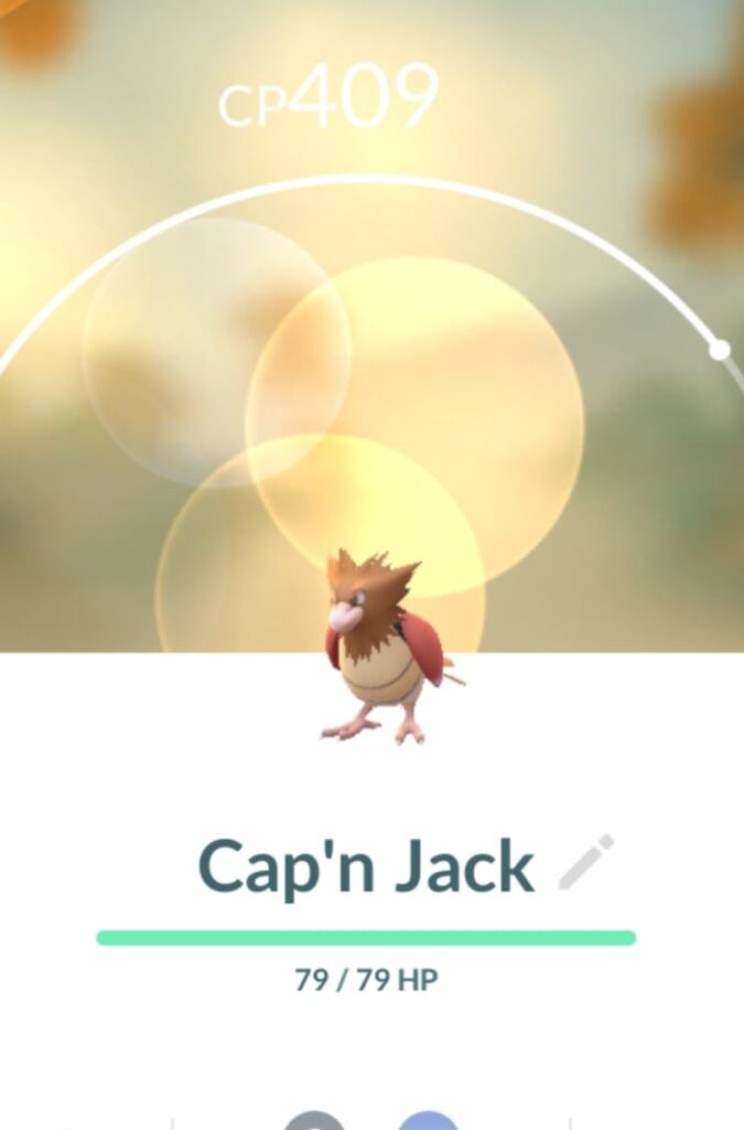 I like naming my Pokemon stupid things.