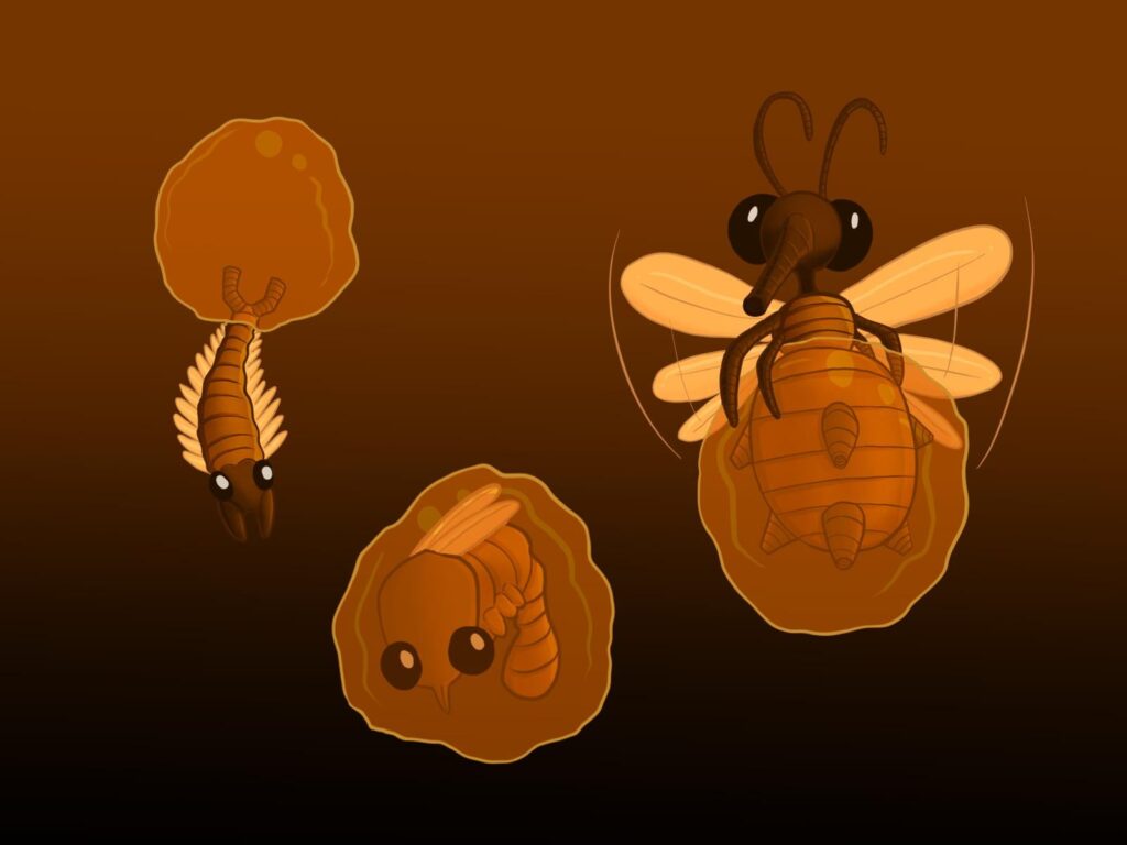 Mosquito Fakemon! Bug/Rock type.