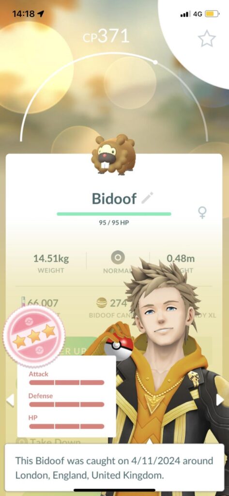 random hundo bidoof