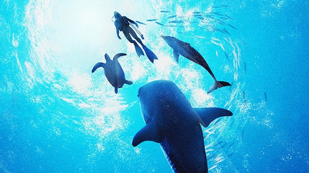 Endless Ocean Luminous Review - IGN