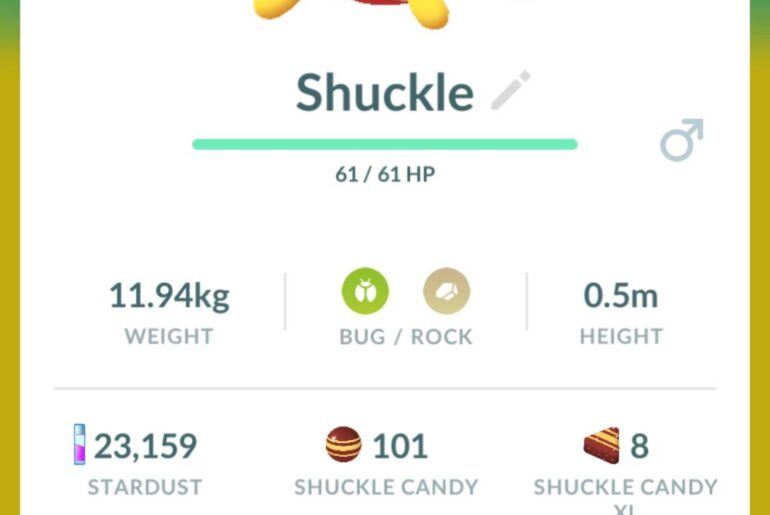 What is the point of having a Shuckle?
