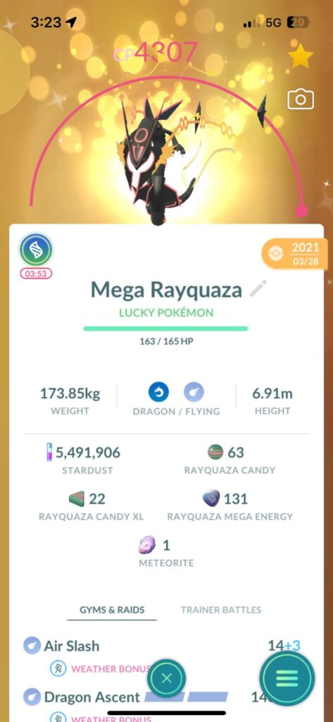 Mega Rayquaza Issue