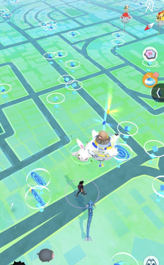 How are such gym placements even allowed or possible?