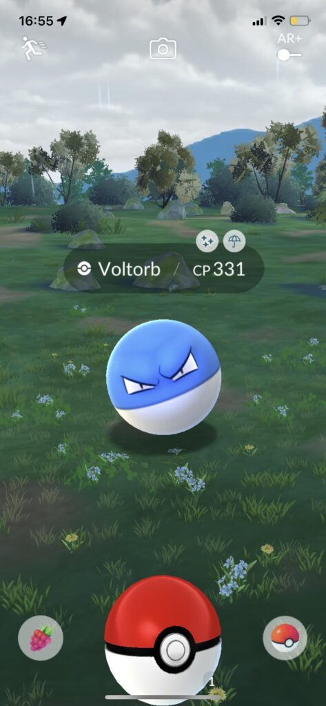 One of my favourite shinys 🥲