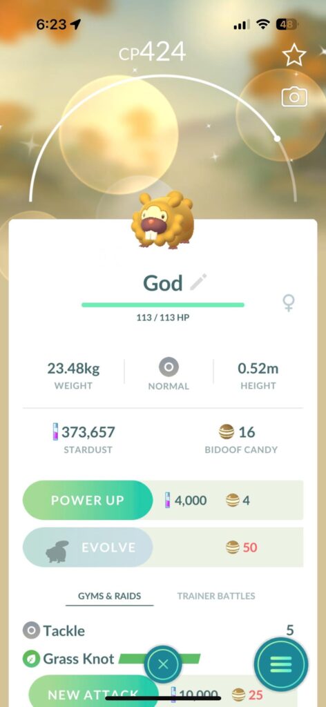 My most prized possession. Shiny Bidoof is gold, shiny Arceus is gold. Coincidence? I think not.