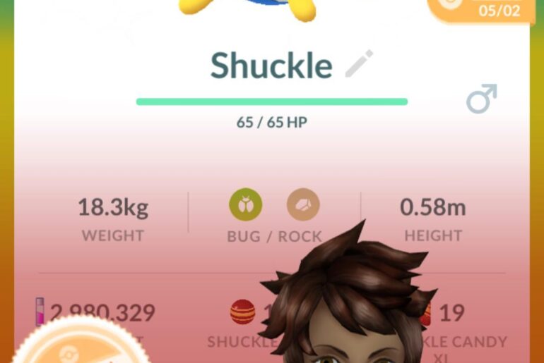 In response to the guy calling Shuckle useless….