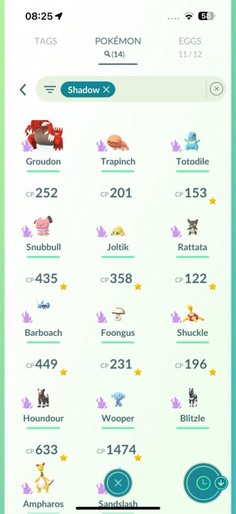 What Pokémon’s should I keep as shadows and which ones should I purify?