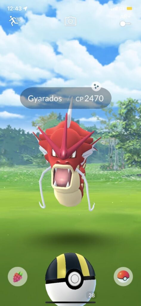 Found a shiny Gyarados while walking