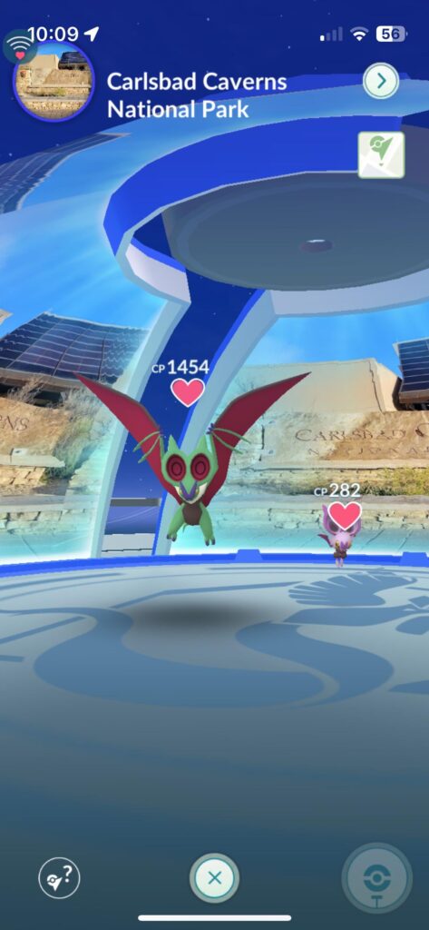 The silly things that make me happy