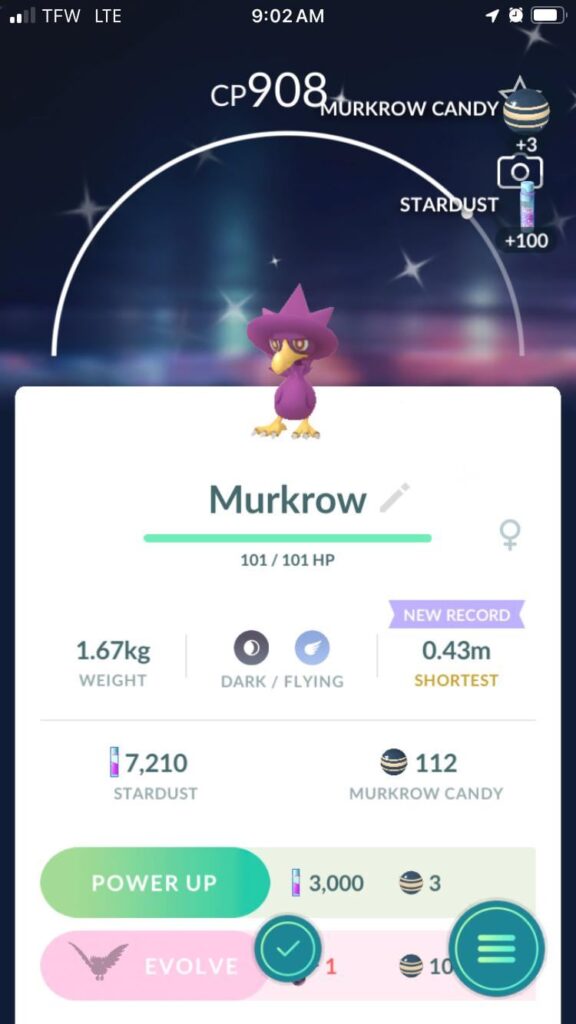 What should I name her?