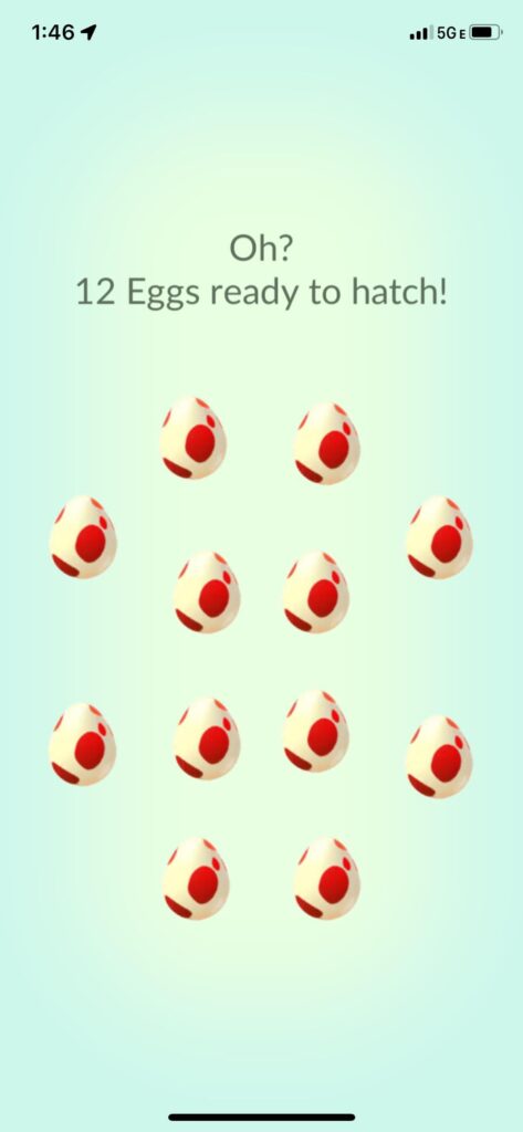 Saving up 12km eggs for over a month…
