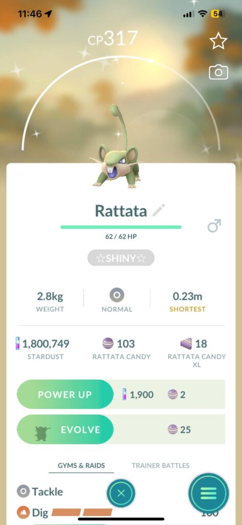 cool looking shiny! I barely see ratatas around nowadays