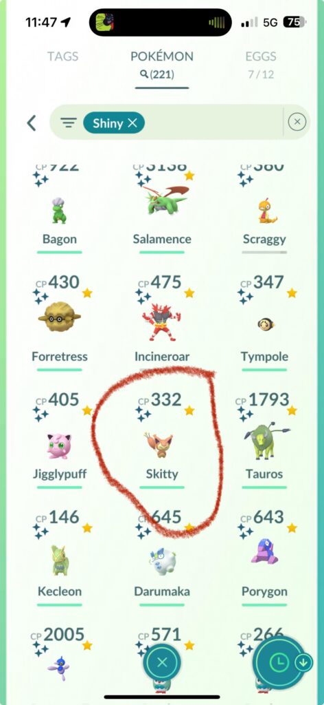Why does skitty face the wrong direction?