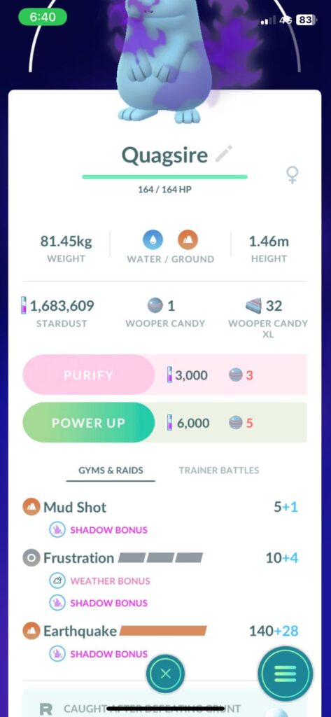 What is the best attack options for Shadow Quagsire?