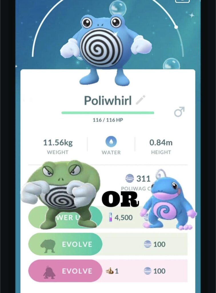 This isn’t my original pic, but I’m in this same situation. Who should I choose?