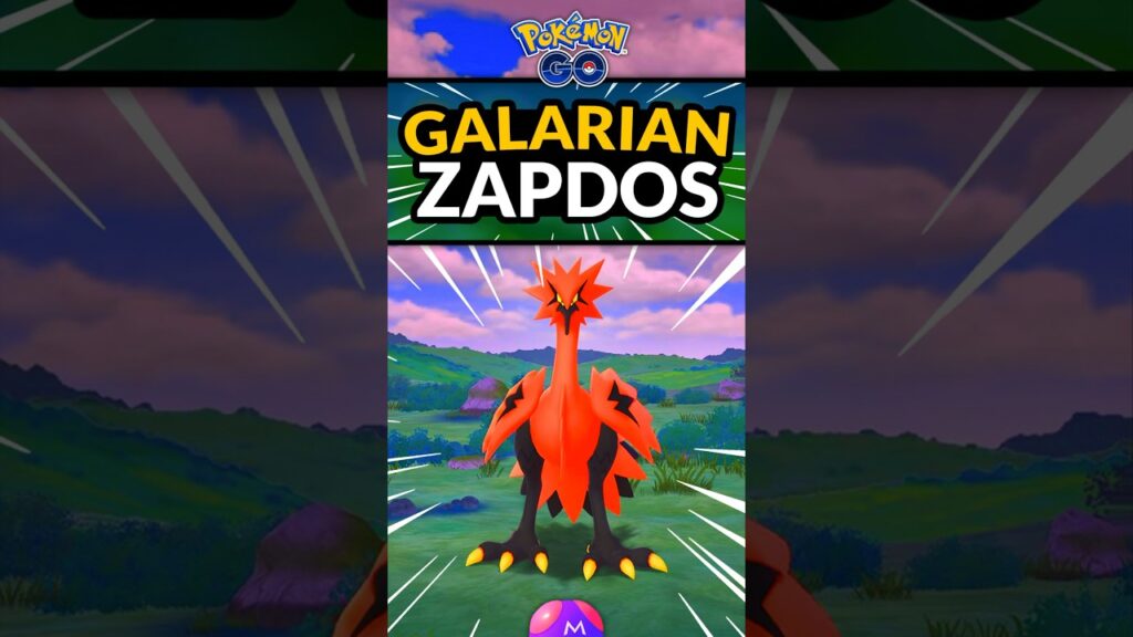 MY BEST CHANCE AT A GALARIAN BIRD!