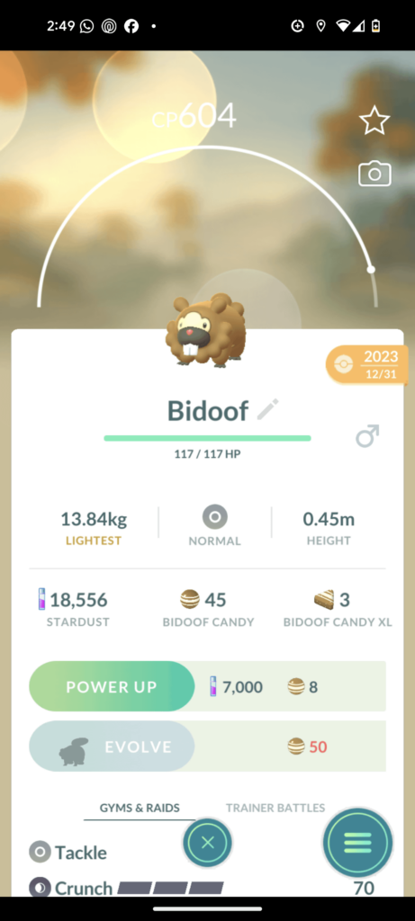 What's the pride and joy of your collection?