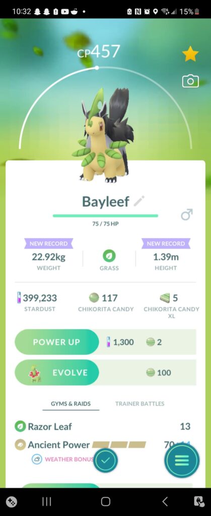 Damn, the new Bayleef form looking mighty meaty in the backside.
