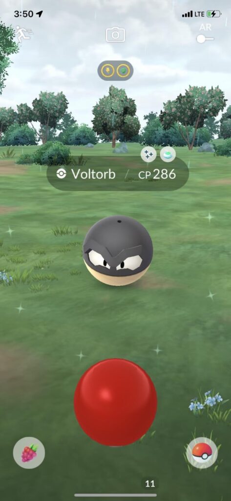 Recap of today ferroseed incense day ✨