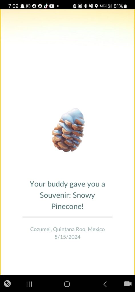 How the heck did my buddy find a snowy pinecone in tropical Cozumel?!