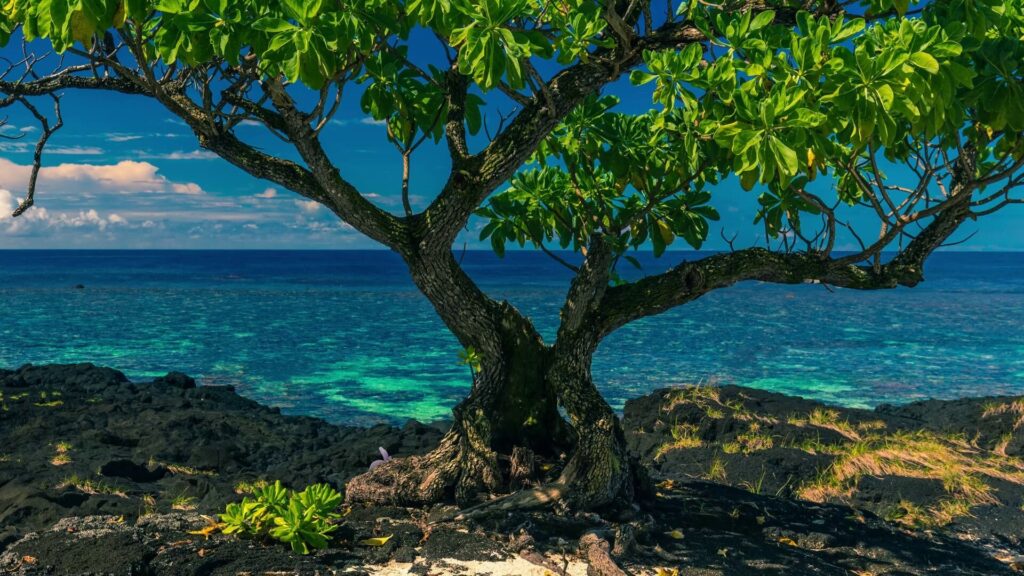 Goomy Community Day teased!