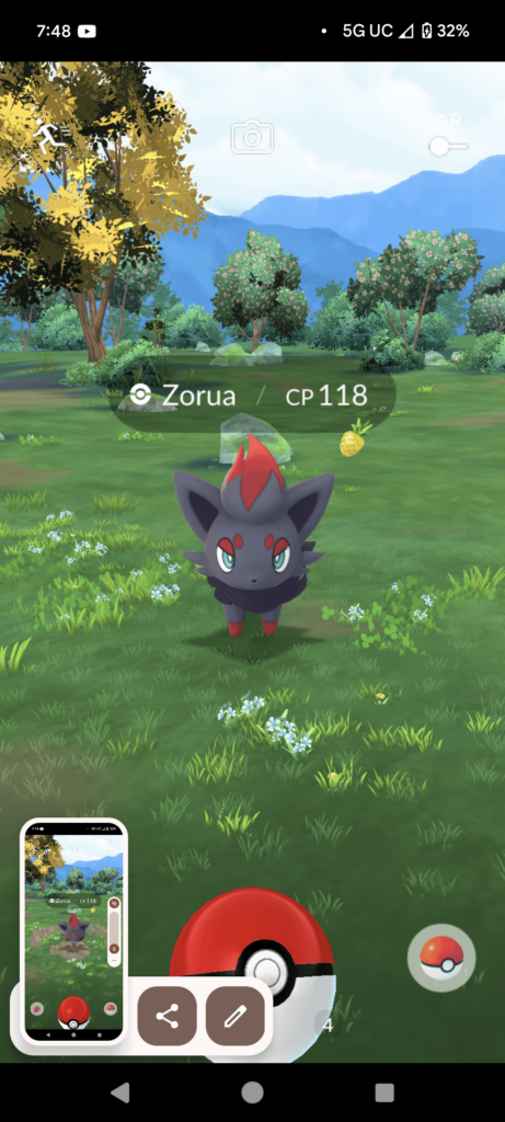 Zorua encounter in the wild?