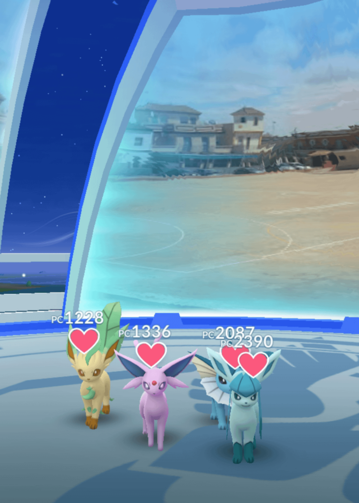 they understood the assignment